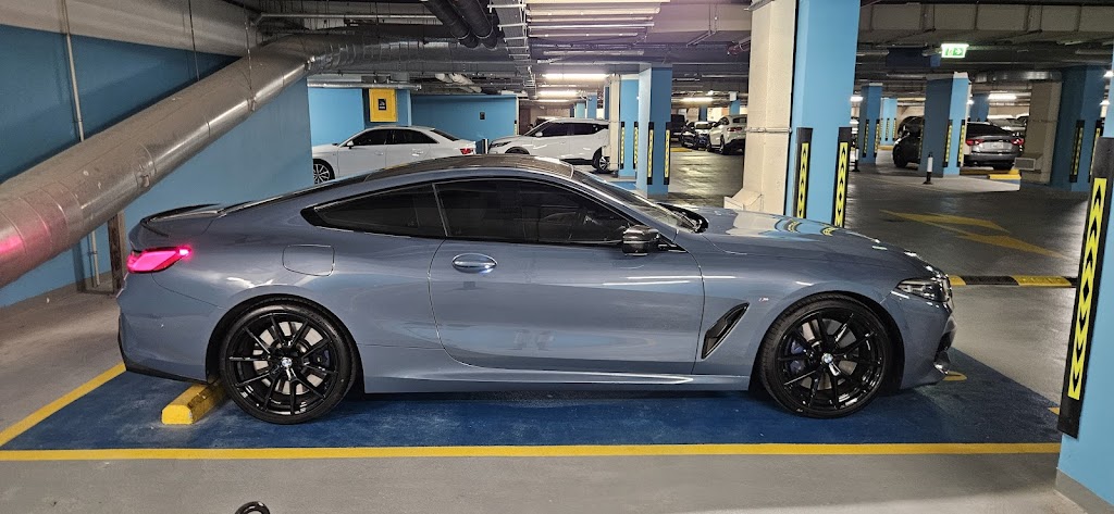 Feather Star Mobile Car Wash