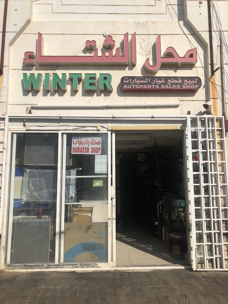 Winter Auto parts sales shop