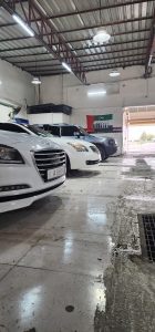 mGslh shdd lGsyl wtlmyaa lsyrt