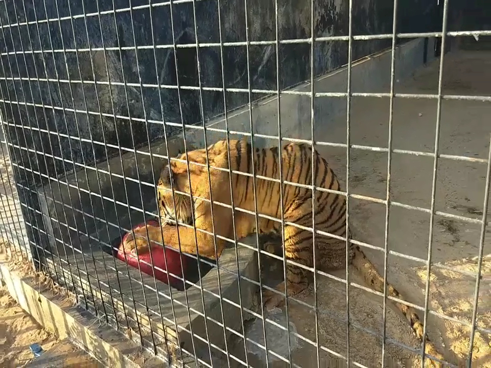 Al Najoom Spare Parts Trading