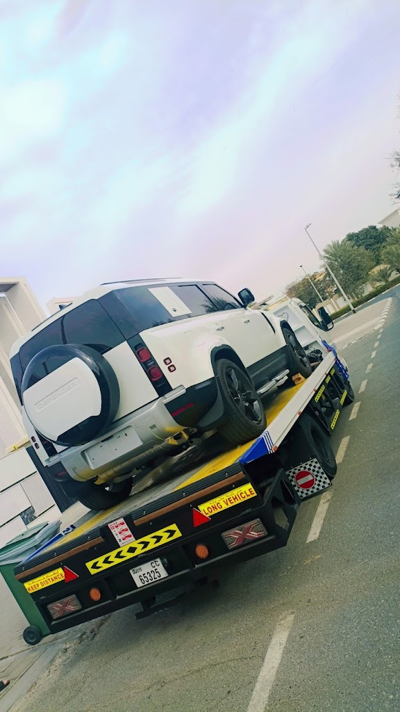 Mizhar recovery services