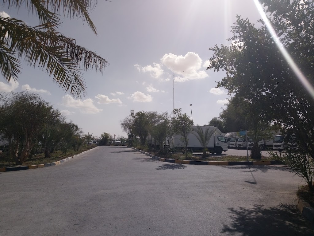 sH@ Hjz syrt shrk@ msr slywshynz