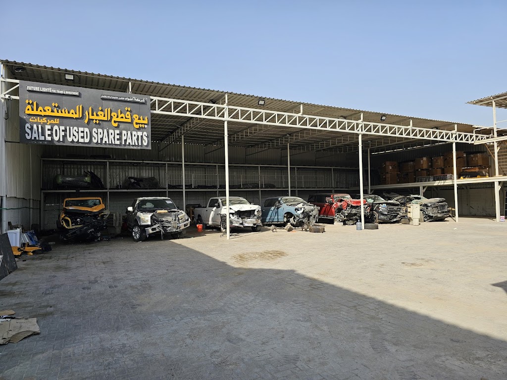 Future Lights Used Cars Spare Parts Tr LLC