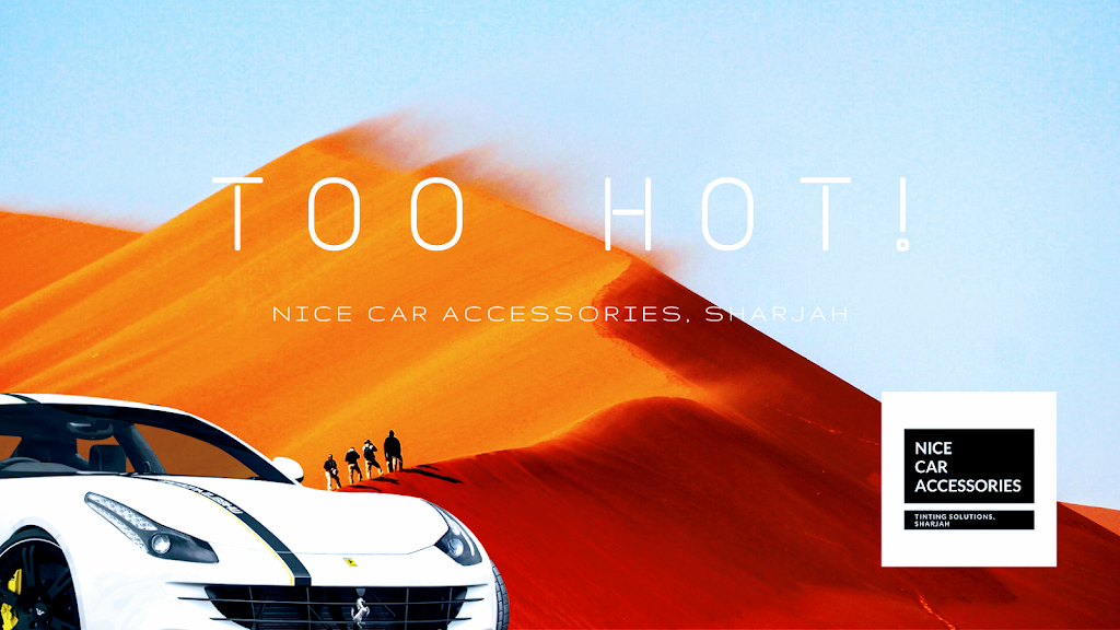 Nice Car Accessories and Tinting Solutions