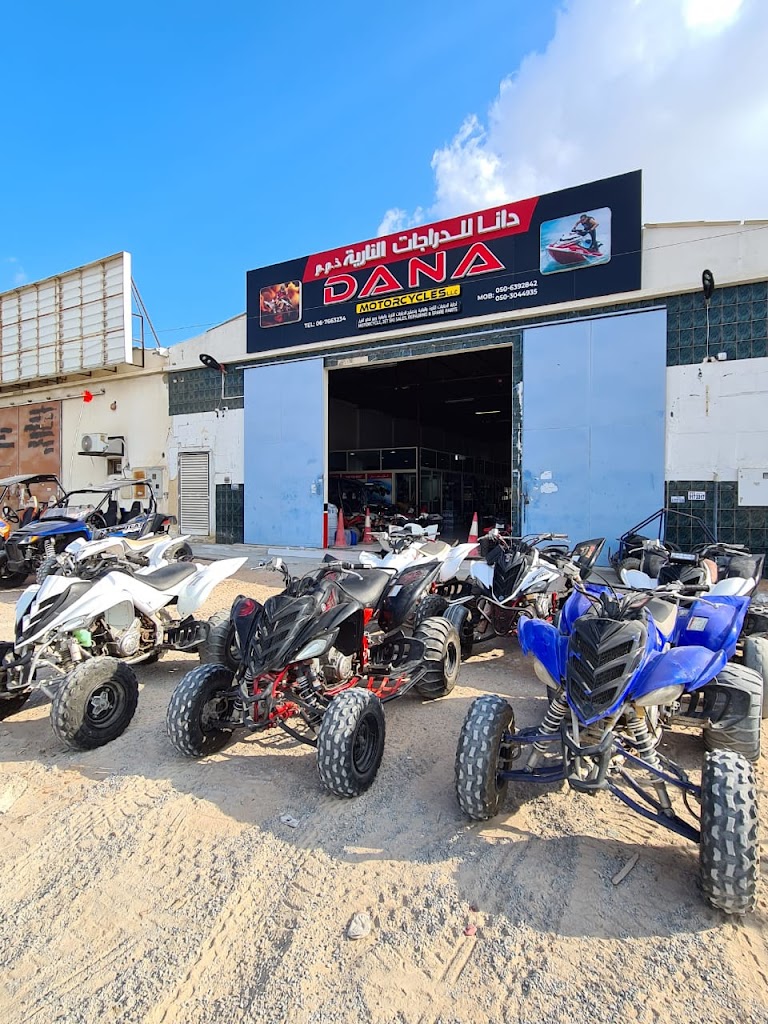 Dana Motorcycles LLC