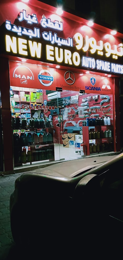 NEW EURO AUTOSPARE PARTS LLC
