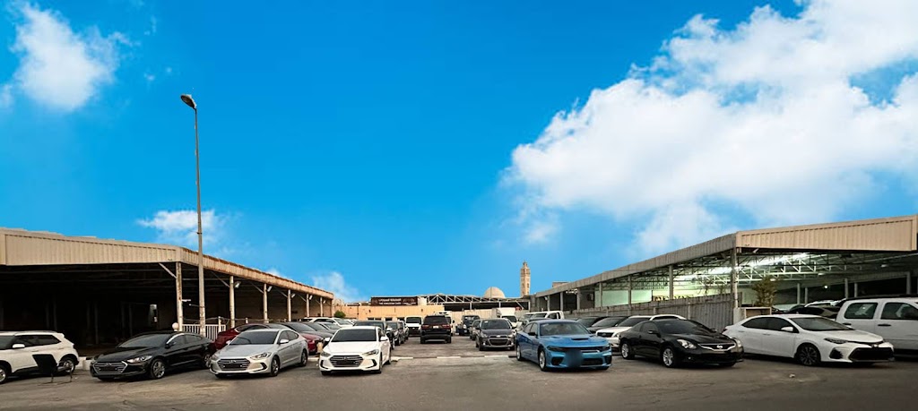 maarD lmmlk@ llsyrt aajmn The Kingdom Cars